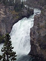 Canyon village Upper fall (4).JPG